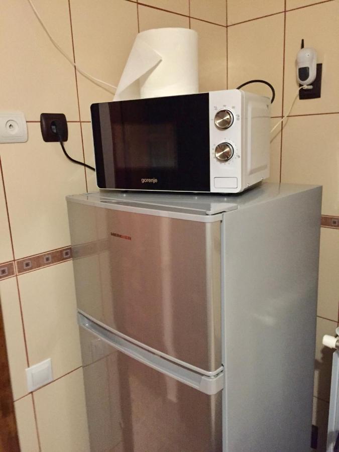 Apartament Veverite Slănic-Moldova Dış mekan fotoğraf