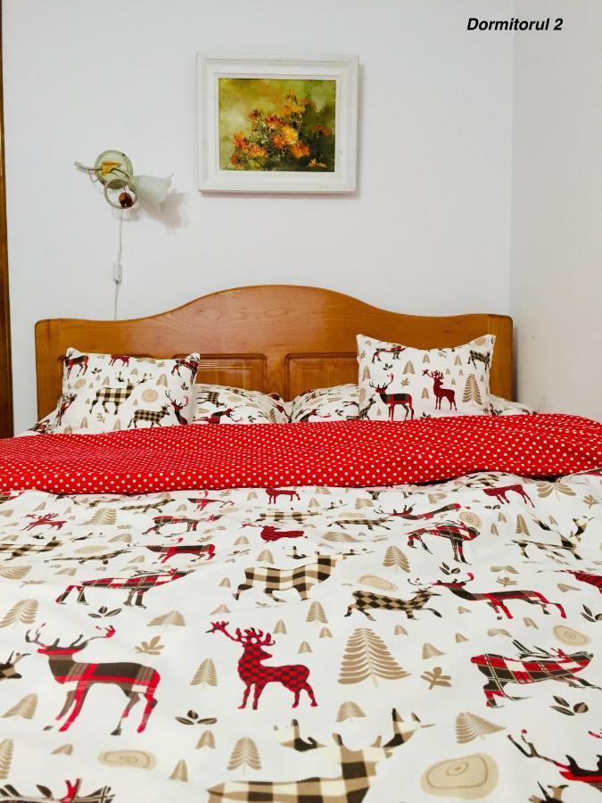 Apartament Veverite Slănic-Moldova Dış mekan fotoğraf