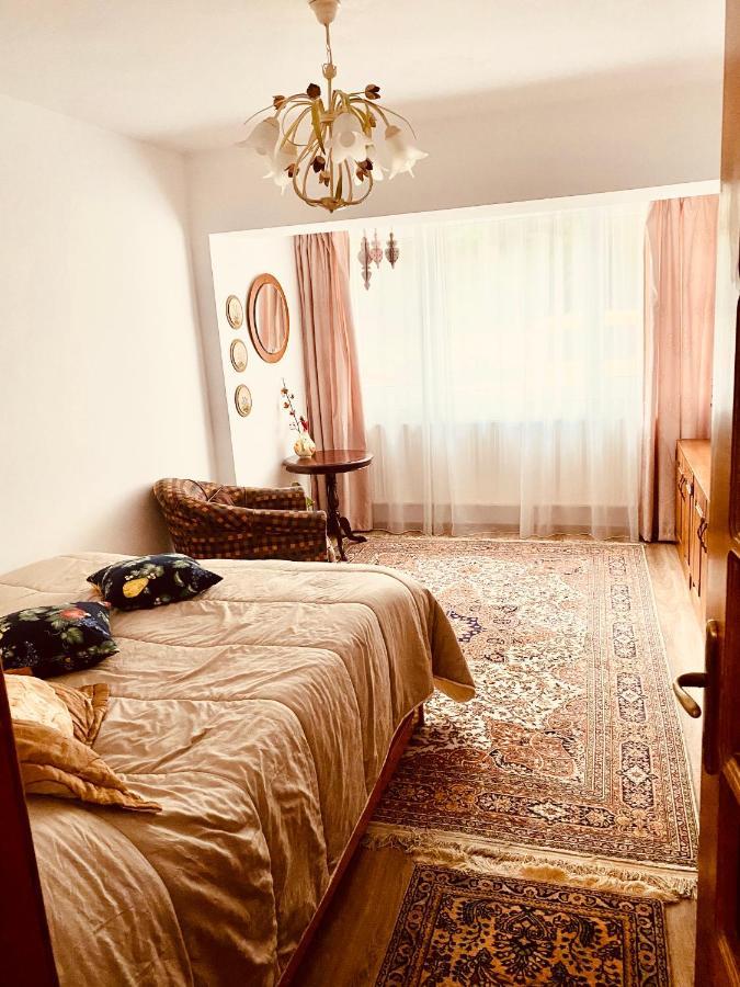 Apartament Veverite Slănic-Moldova Dış mekan fotoğraf